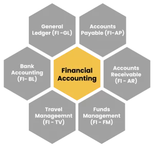 Financial Accounting (FI) Module