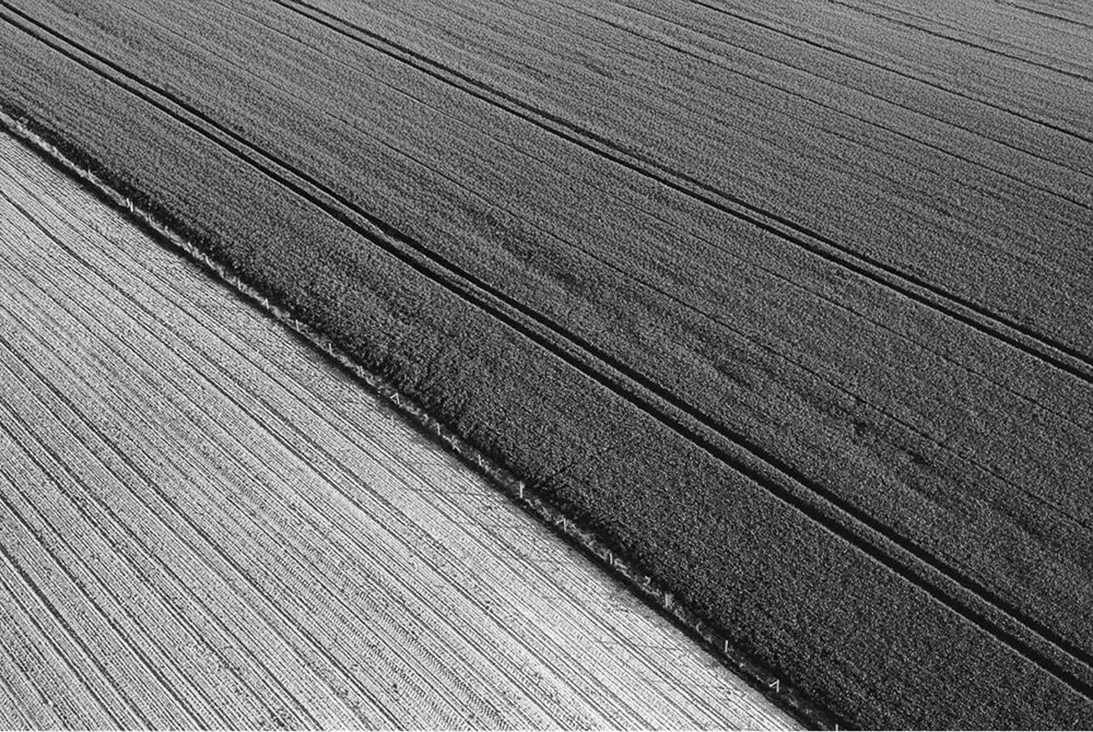 Greenfield SAP Implementation: Risks, Rewards & Realities for CIOs